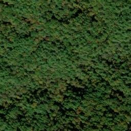 Satellite imagery of Reid Mine, US
