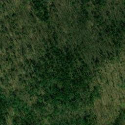 Satellite imagery of Piney Spur, US