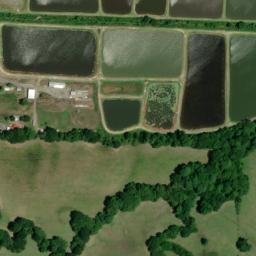 Satellite imagery of T 111 — NGS EH1865 — Lonoke County, US, US
