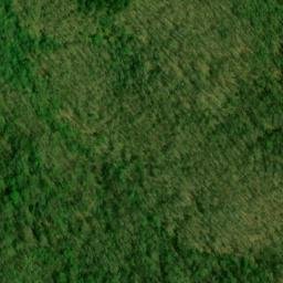Satellite imagery of Gumlog Lead, US