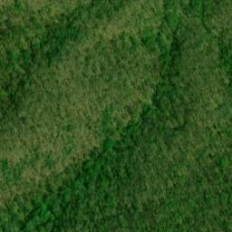 Satellite imagery of Gumlog Lead, US