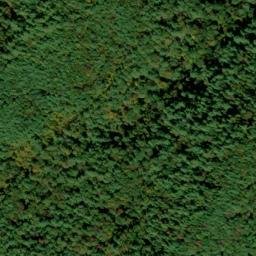 Satellite imagery of Norton Ridge, US