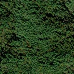 Satellite imagery of Norton Ridge, US