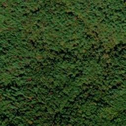 Satellite imagery of Big Mountain, US