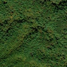 Satellite imagery of Big Mountain, US