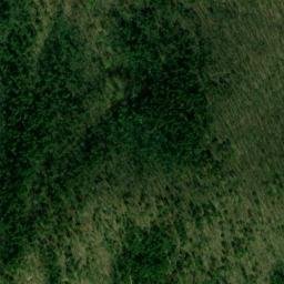 Satellite imagery of Piney Spur, US