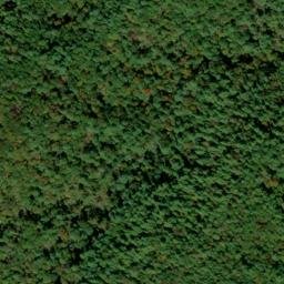 Satellite imagery of Norton Ridge, US