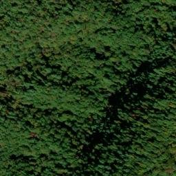 Satellite imagery of Big Mountain, US