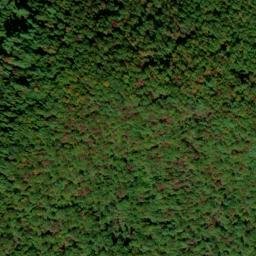 Satellite imagery of Big Mountain, US