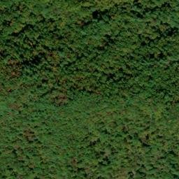 Satellite imagery of Big Mountain, US