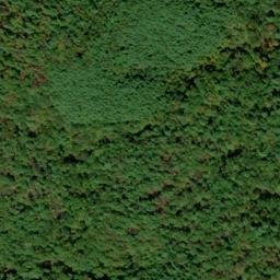 Satellite imagery of Norton Ridge, US