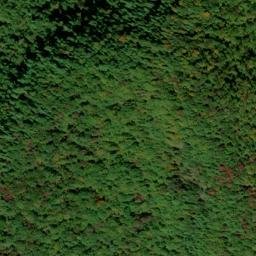 Satellite imagery of Big Mountain, US