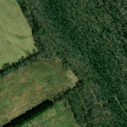 Satellite imagery of Cedar Ridge, US