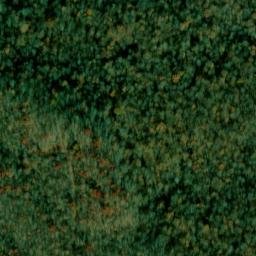 Satellite imagery of Letson Point, US
