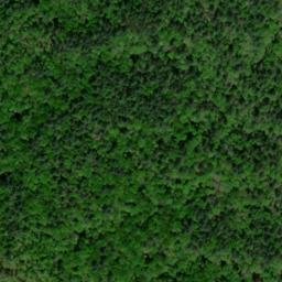 Satellite imagery of Dan Ridge, US