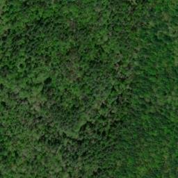 Satellite imagery of Dan Ridge, US
