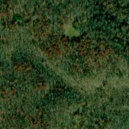 Satellite imagery of Letson Point, US