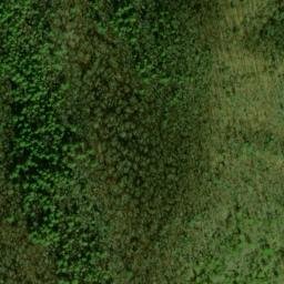 Satellite imagery of Rough Ridge, US
