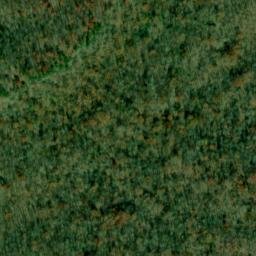 Satellite imagery of Letson Point, US