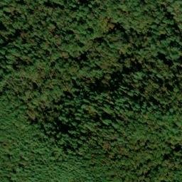 Satellite imagery of Chattooga River Prospect, US
