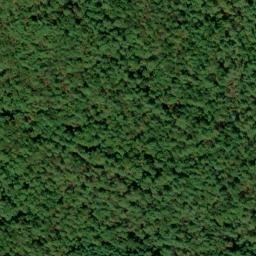Satellite imagery of Chattooga River Prospect, US