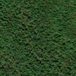 Satellite imagery of Chattooga River Prospect, US