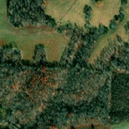 Satellite imagery of Ivy Bluff, US