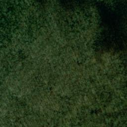 Satellite imagery of Bishop Point, US