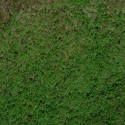 Satellite imagery of Wild Hog Ridge, US