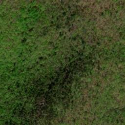 Satellite imagery of Wild Hog Ridge, US