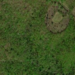 Satellite imagery of Wild Hog Ridge, US