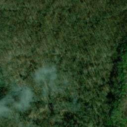 Satellite imagery of Bishop Point, US