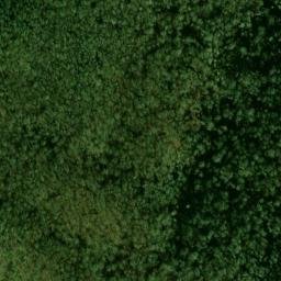 Satellite imagery of Panther Bluff, US