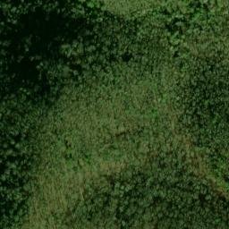 Satellite imagery of Panther Bluff, US