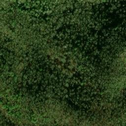 Satellite imagery of Panther Bluff, US