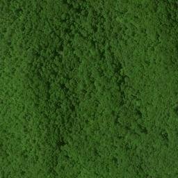 Satellite imagery of Rough Ridge, US