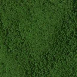 Satellite imagery of Rough Ridge, US