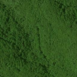 Satellite imagery of Fork Ridge, US