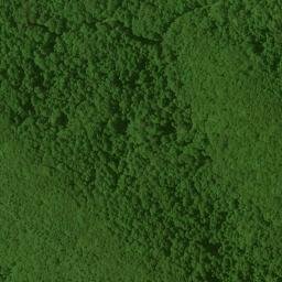 Satellite imagery of Fork Ridge, US