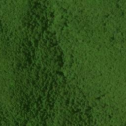 Satellite imagery of Fork Ridge, US