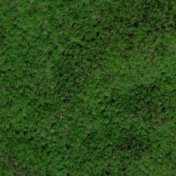Satellite imagery of Wild Hog Ridge, US