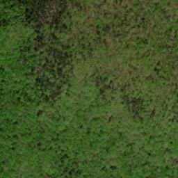 Satellite imagery of Wild Hog Ridge, US