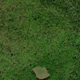 Satellite imagery of Wild Hog Ridge, US