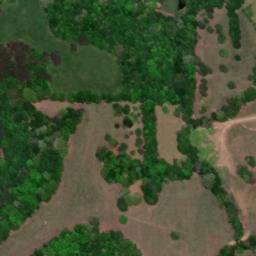 Satellite imagery of Gray Ridge, US