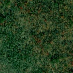 Satellite imagery of Evans Ridge, US