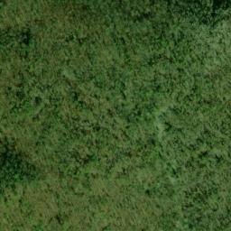 Satellite imagery of Panther Bluff, US