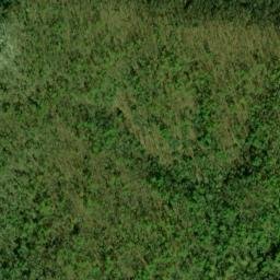 Satellite imagery of Panther Bluff, US