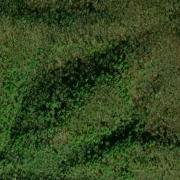 Satellite imagery of Panther Bluff, US