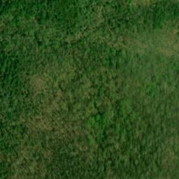 Satellite imagery of Buck Ridge, US