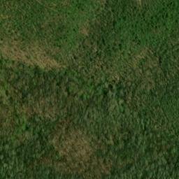 Satellite imagery of Buck Ridge, US